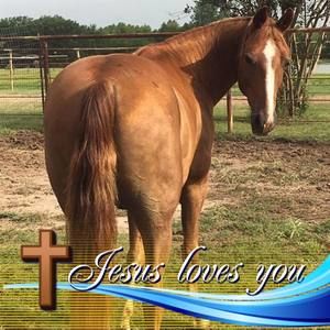 Meet your Posher, Tammie